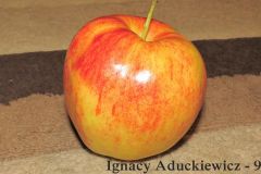 IgnacyA-jablko
