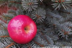 Lilianna-Rudzka-lat-10-jablko